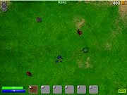 Beetle Wars